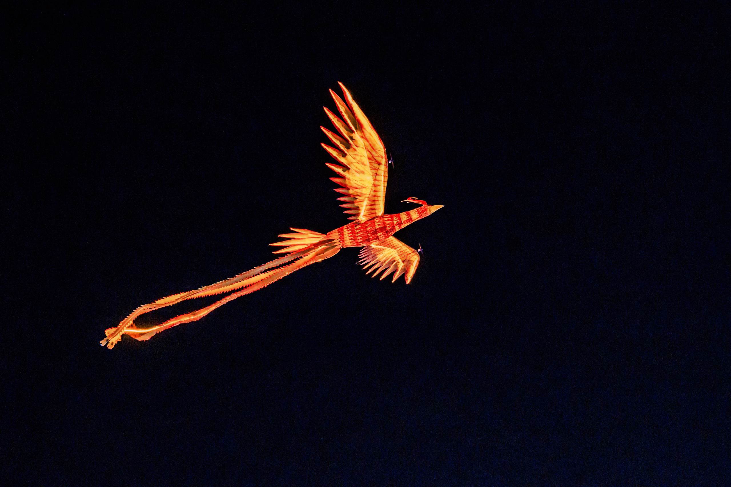 Illuminated phoenix performance at night